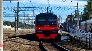 ЭД4М 0361 Белоостров - Сестрорецк. Виды очень красивые.