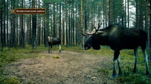 Дикие выходные с Павлом Глазковым. 27 сентября