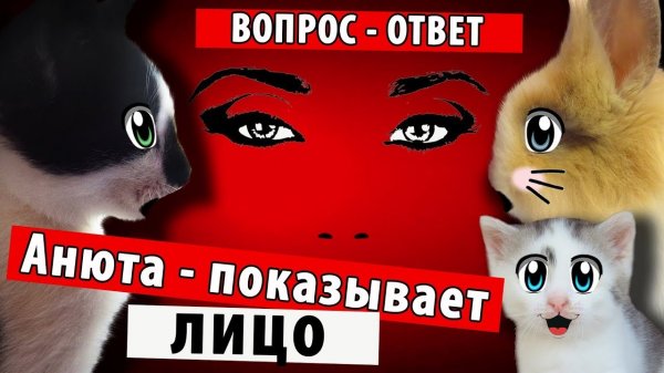 ОТВЕТ ВОПРОС! АНЮТА ПОКАЗЫВАЕТ ЛИЦО! [2018]