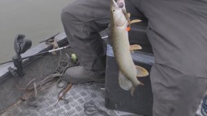 "НАРОДНЫЙ ПРОЕКТ АСТРАХАНЬ"