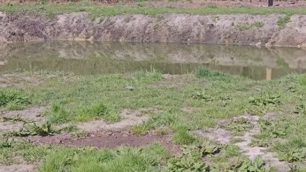 ДЕРЕВЕНСКИЙ БЫТ С ЖИВОТНЫМИ!