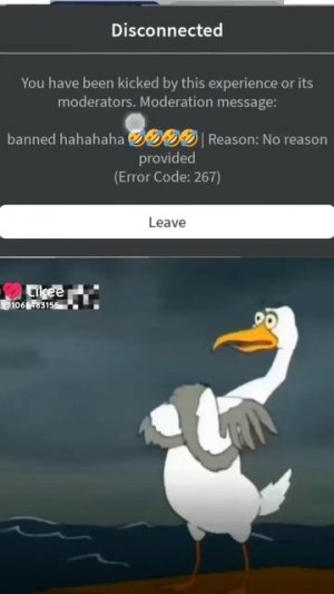 что обозначает ошибка 267