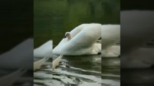 Нейросеть - А давай ты и я навсегда на года