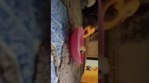 вот наш вечерок и завтра сниму влог кстати 7:13 время было 21:14