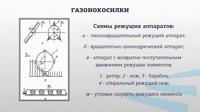 Шкарпеткин 5 2