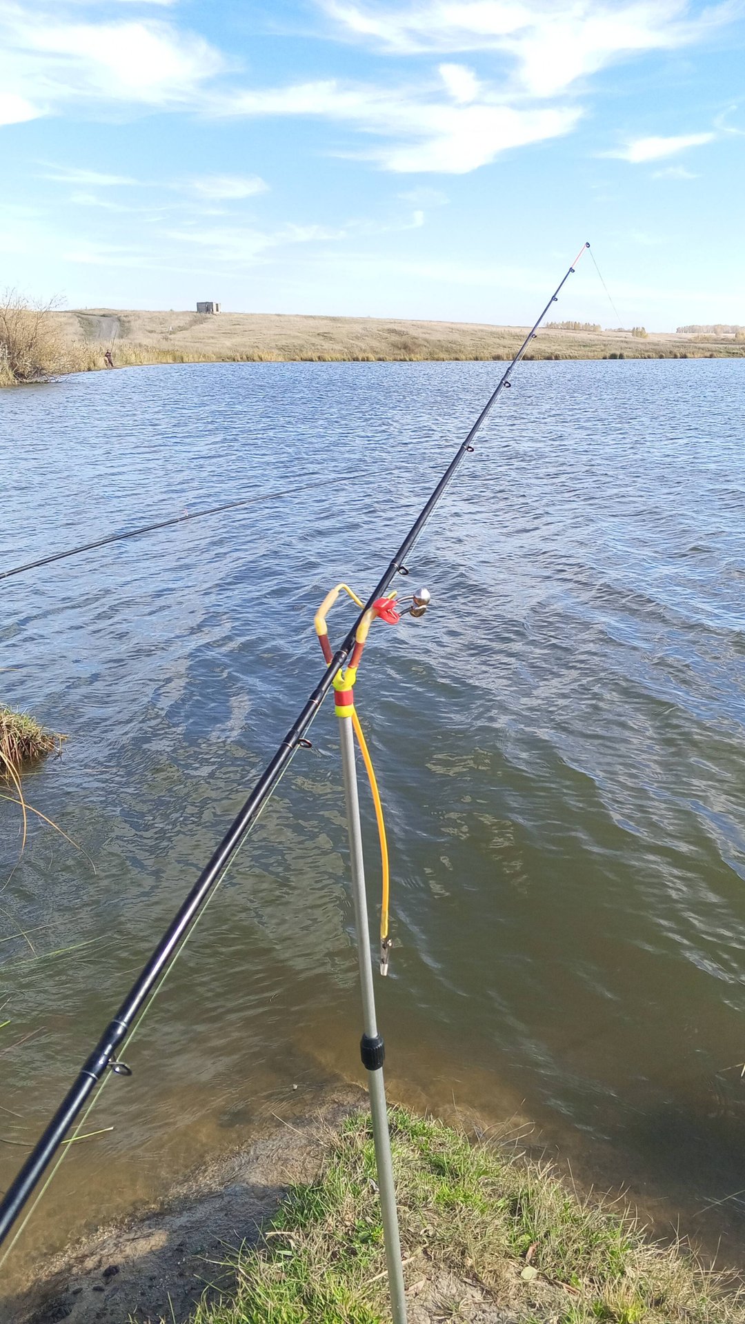 Этот сигнализатор поклёвок порвал интернет! смотреть онлайн