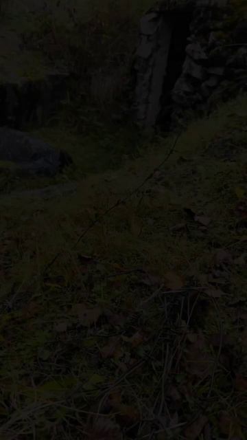 Карелия. Медвежьегорск. Гора Лысуха. Karelia. Medvezhyegorsk. Mount Lysukha смотреть онлайн