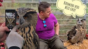 Сова Ёль в гневе - приехал Егор выигрывать в конкурсах. Сестра брата Егора помогает изо всех сил