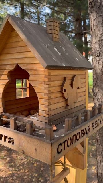 столовая белочки