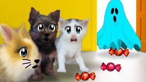 ПРИЗРАК В ДОМЕ? СОБАКА ПУПСЯ И КРОЛИК БАФФИ ИЩУТ ПРИЗРАКА! [2018]