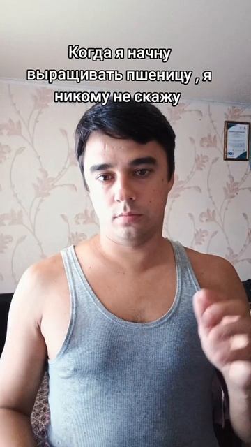 пшеница смотреть онлайн