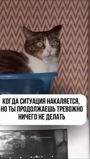 Сложный выбор