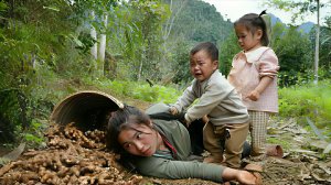 Сбор имбиря с грядки и продажа на рынке. Жизнь во Вьетнаме