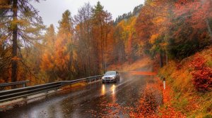 Plazma- Lonely 🚗🌲🍂🍁