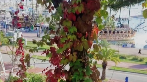 ОСЕННЯЯ АЛАНЬЯ. ТУРЦИЯ 2025.