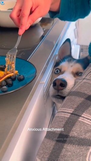 Когда очень хочется вкусняшек ☺😅
подписывайтесь на перчик🌶🌶 тут всё для хорошего настроения☺☺☺