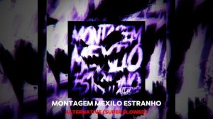 funk montagem mexilo estranho alternative (super slowed) dj zynx