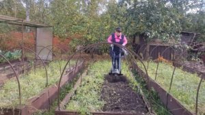 Осенние заботы. Что еще убрать? Готовлю грядку под чеснок. Поездка на закупки. Готовимся к празднику