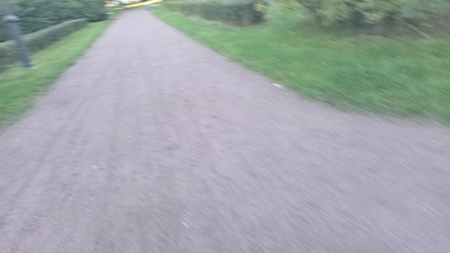 10565.mp4 смотреть онлайн