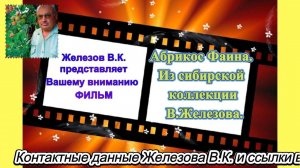 Абрикос Фаина. Из сибирской коллекции В.Железова