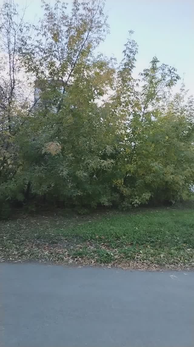 Вечер в сентябре, необычное облако
#сентябрь смотреть онлайн