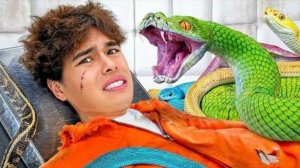 КТО ПОСЛЕДНИЙ ЗАКРИЧИТ, ПОЛУЧИТ $50 000