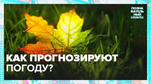 Как прогнозируют погоду?|Познавательный фильм — Москва 24|Контент