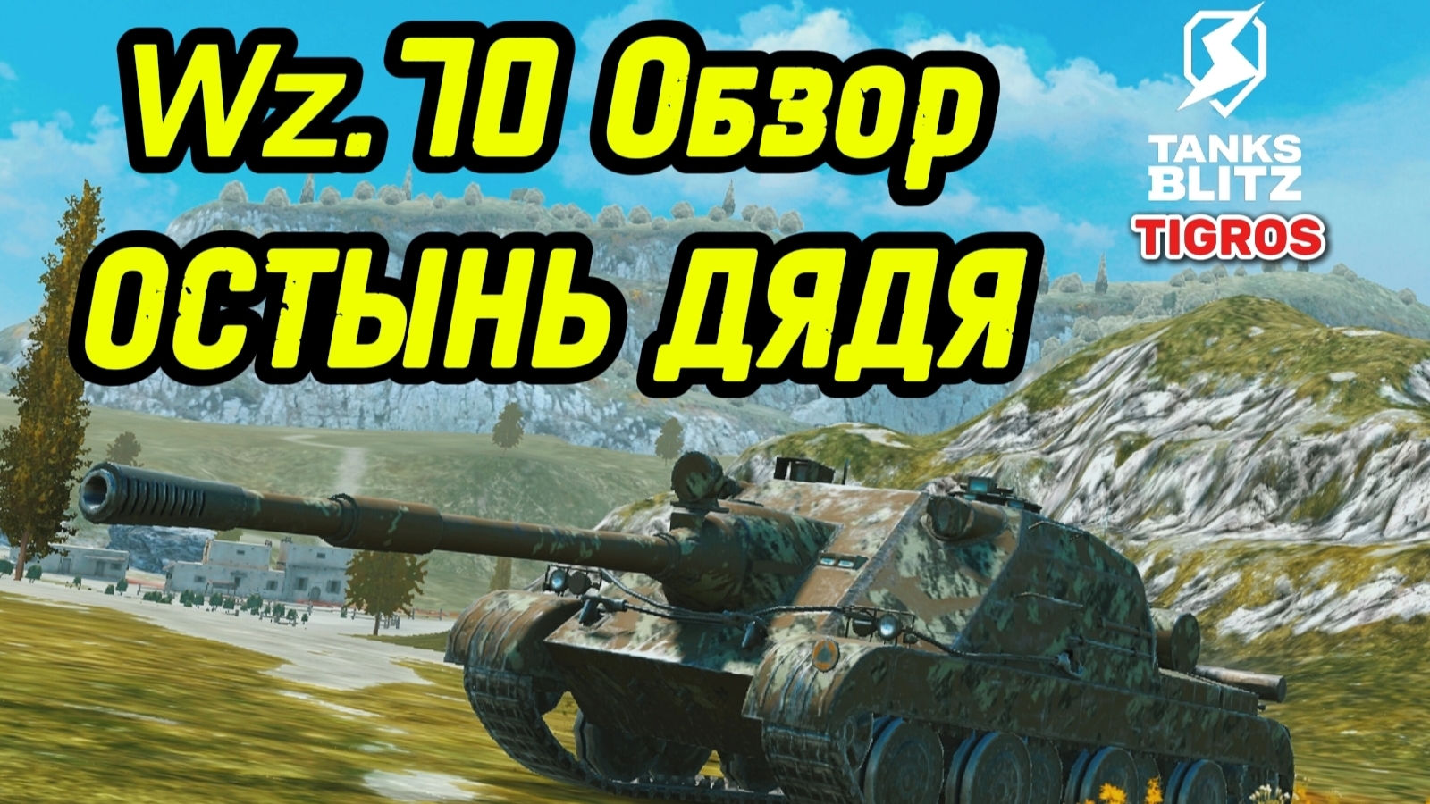 Wz.70 Обзор Новый топ ветки польских ПТ САУ /// Tanks Blitz