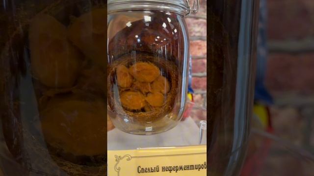 музей шоколада