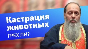 Грех ли кастрировать животных?