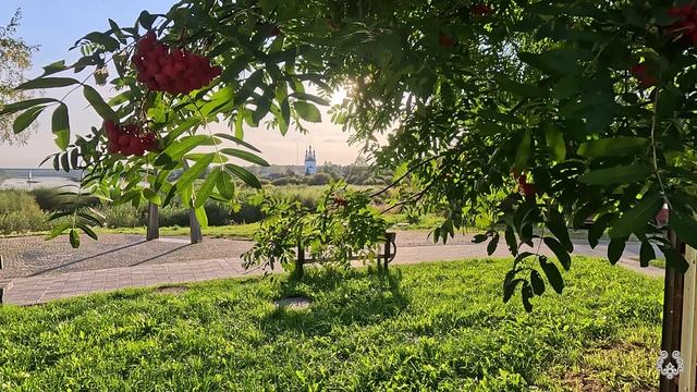 Рябиновый закат смотреть онлайн