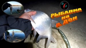 РЫБАЛКА на ЛЕЩА и РЫБЦА. Река ДОН, ст. Багаевская