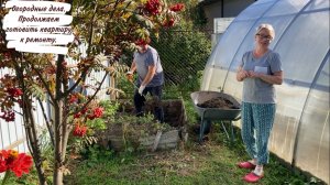 Огородные дела. Продолжаем готовить квартиру к ремонту.