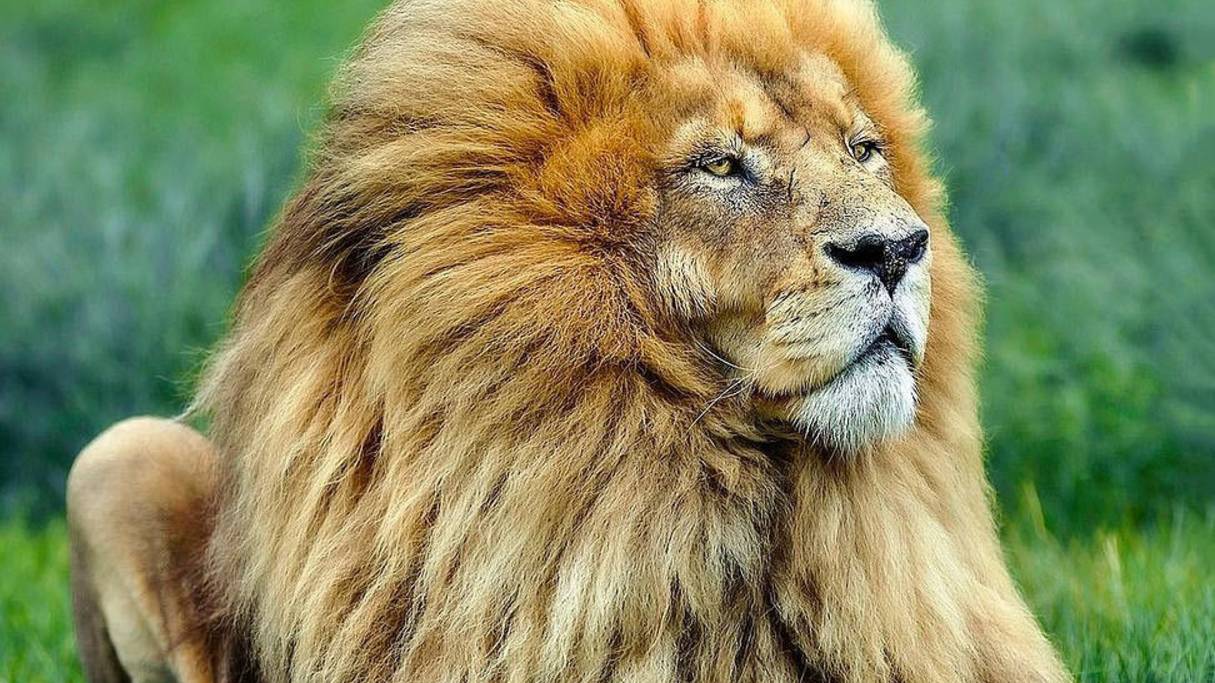 День дружбана смотреть онлайн