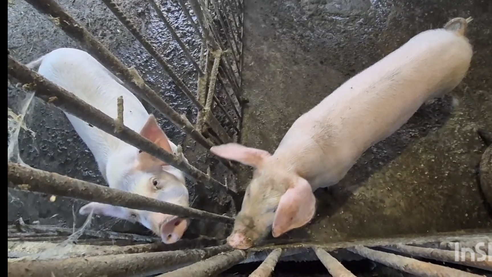 Морально и физически выматал меня сегодняшний день,Деревня смотреть онлайн