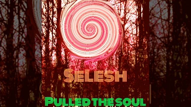 SeLesh-Life Is Pain(44100).mp4