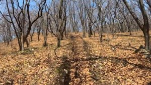 Песня ''ТВ-эха''.mp4