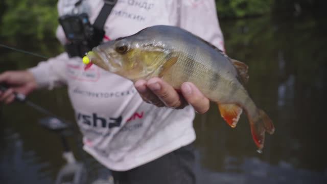 "МИР РЫБОЛОВА"