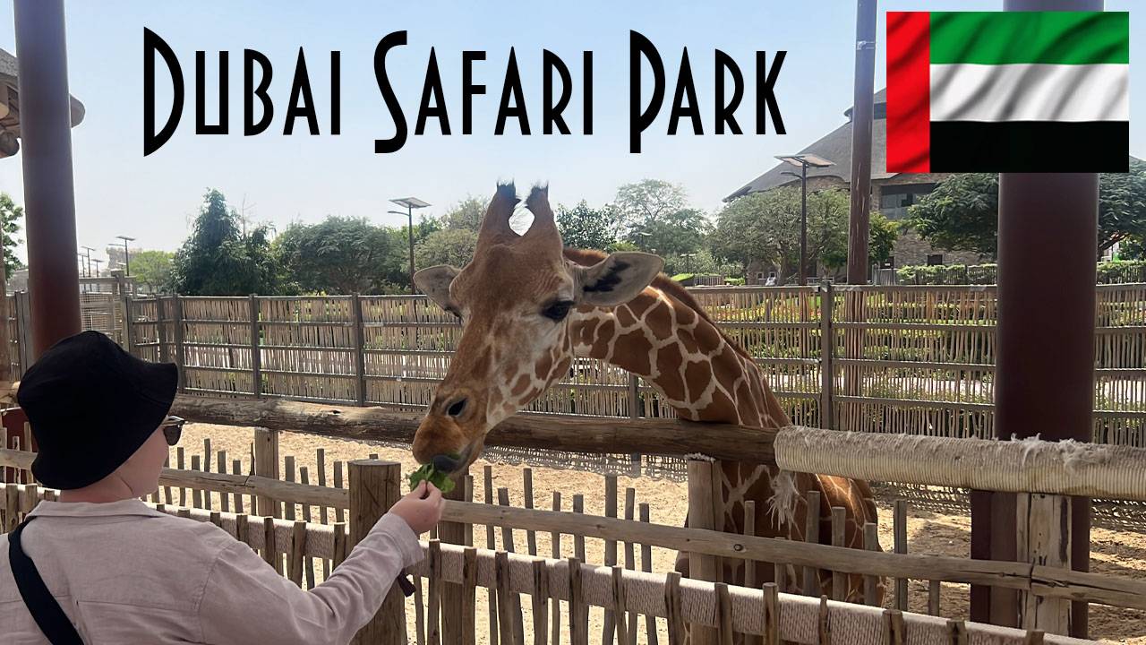 ОАЭ | Дубай | Куда пойти в Дубае с детьми? | Дубай Сафари Парк смотреть онлайн