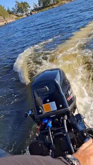 Marlin 9.9 Proline Force , водомёт, Флагман ДК 390 игла , заамер скорости