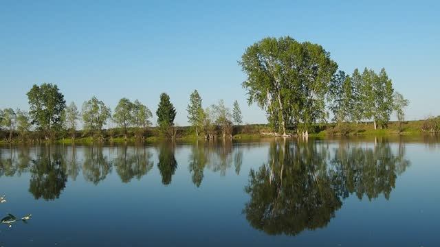 Река Чаус (Сибирь, Новосибирская область). смотреть онлайн