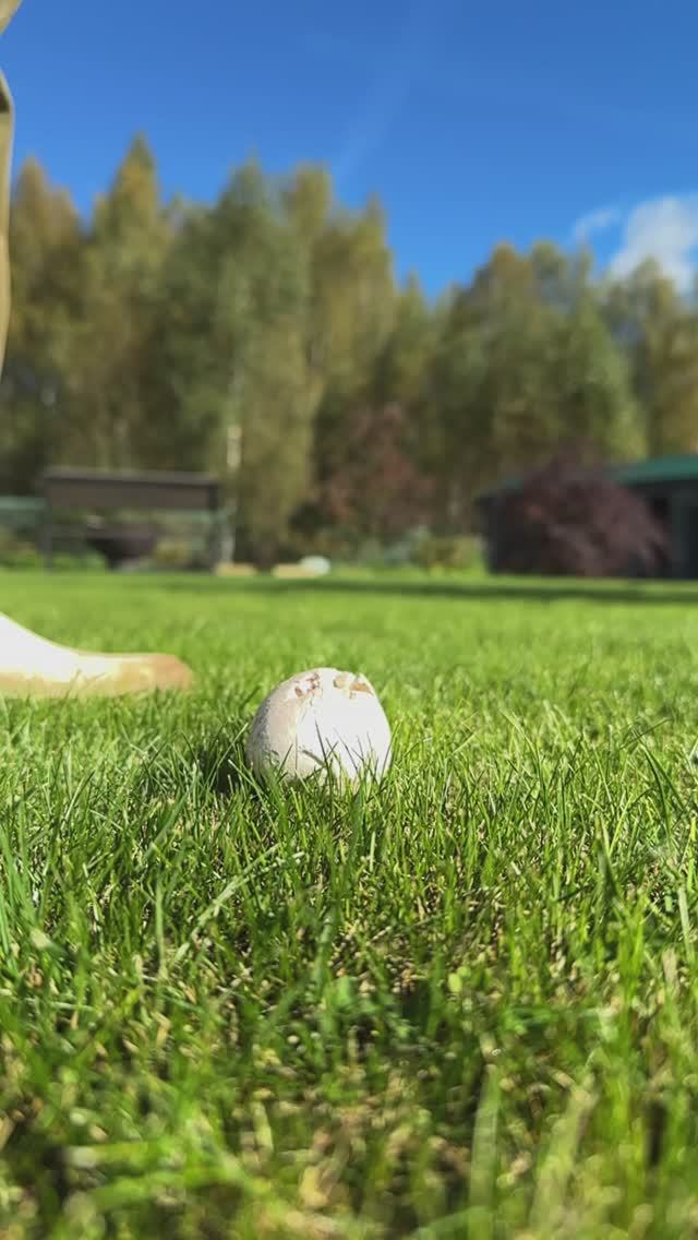 Грибной футбол ⚽️ #надаче смотреть онлайн