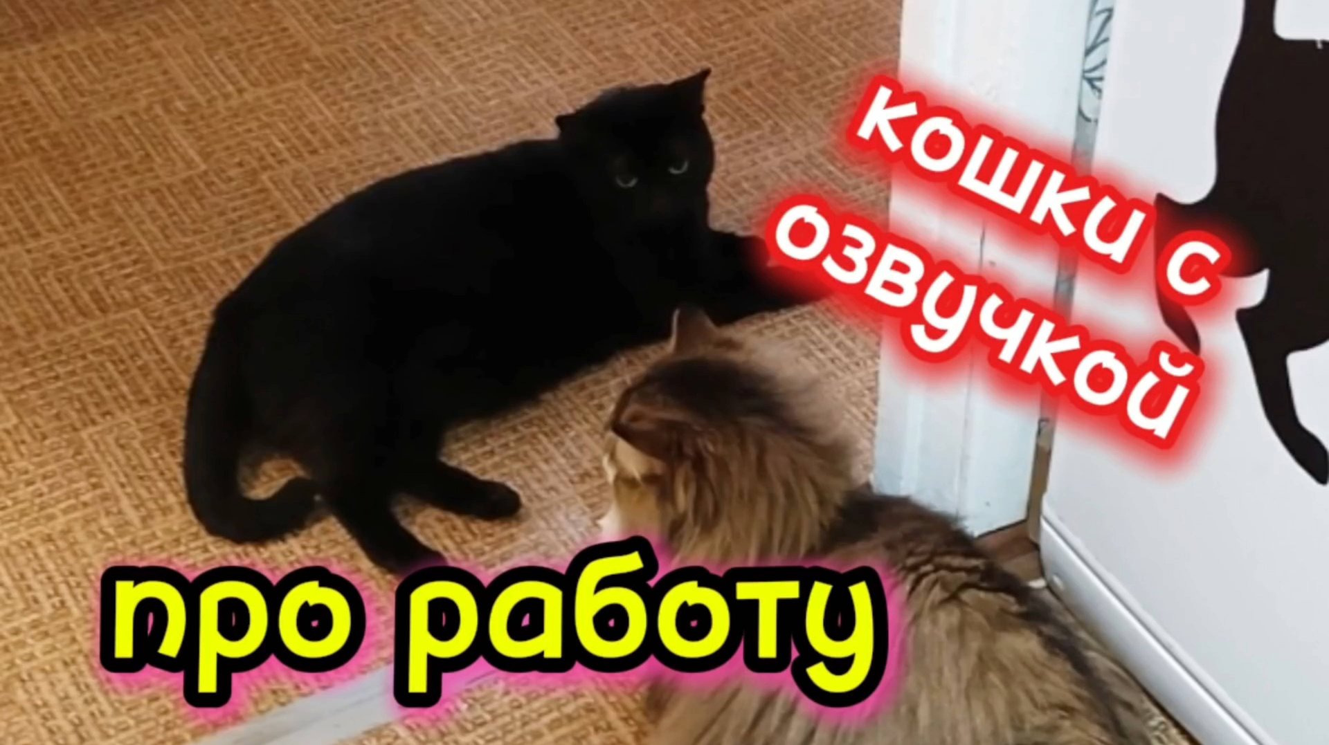Кошки с озвучкой. смотреть онлайн