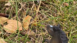 Шляй сериал ” Искусиво во мне ” серия 1