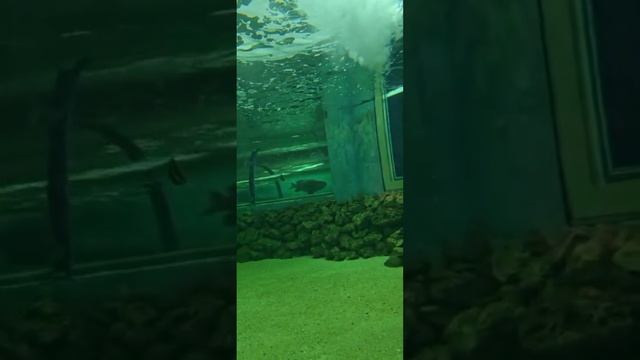 подводный мир