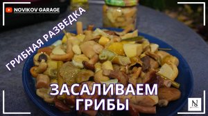 Грибная разведка - засаливаем грибы. Как солить горькушки ?
