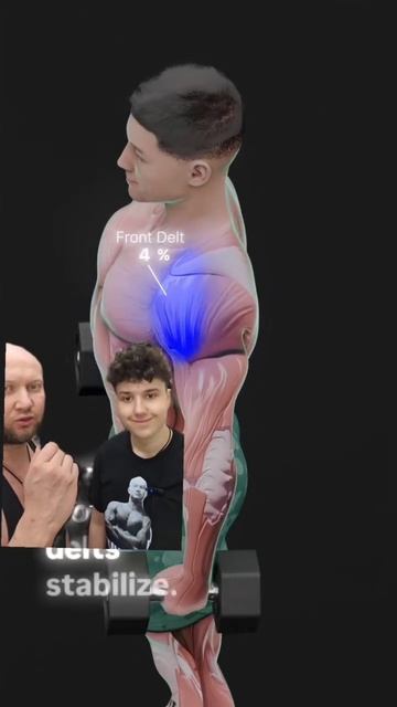 Почему все жимы сидя и стоя бесполезны для средних дельт смотреть онлайн