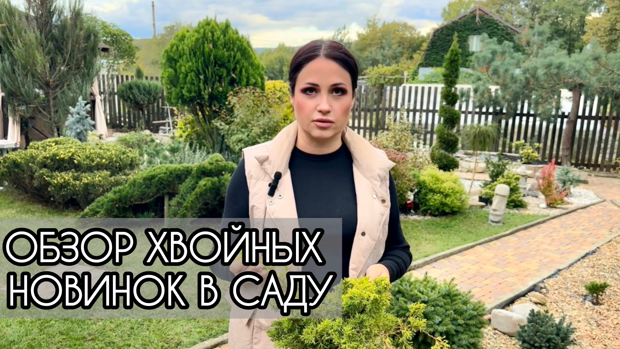 Обзор хвойных новинок в саду смотреть онлайн