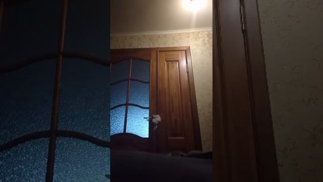 спорт смотреть онлайн