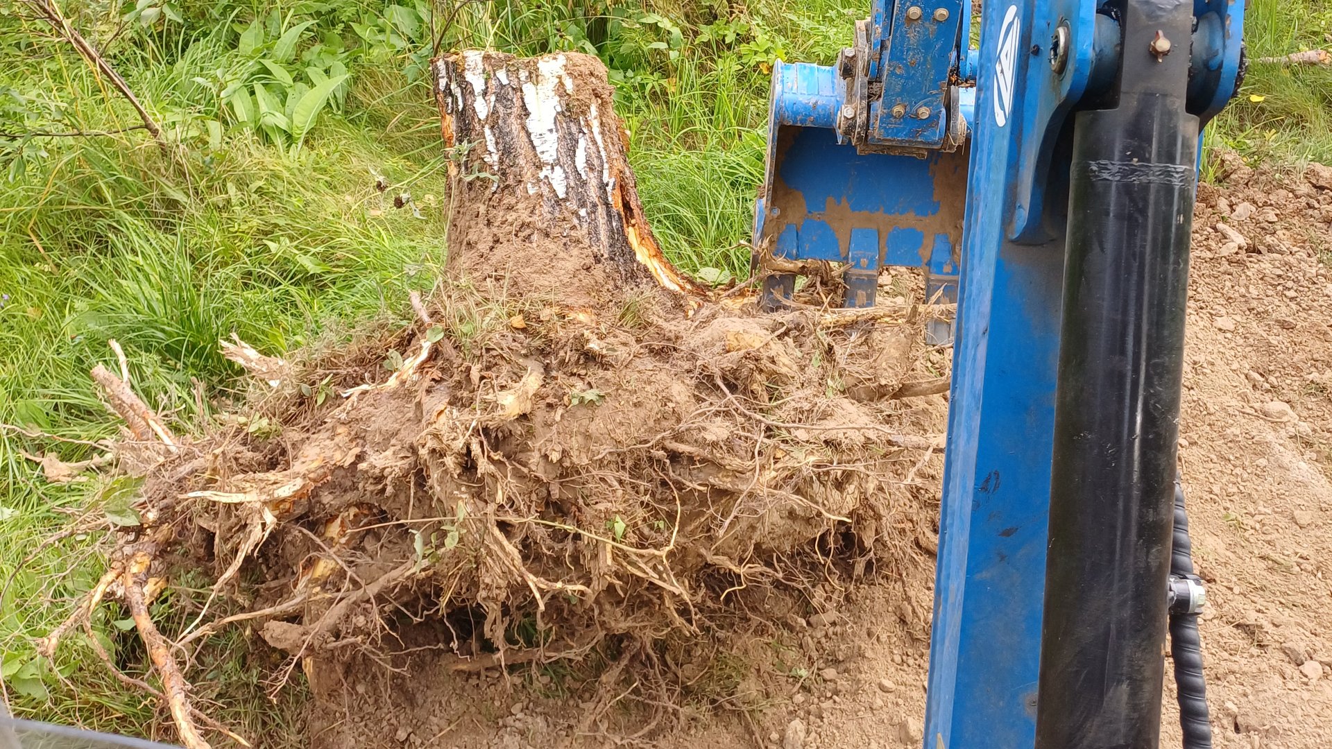 раскорчевка миниэкскаватором и трактором т 40